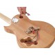 Harley Benton Single Cut DIY-KIT