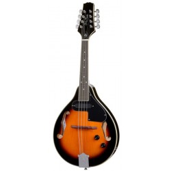 Harley Benton MA 50E Mandoline VS