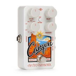 Canyon Delay and Looper